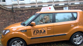 Fake Driving School csöcsö piercinges gót picsa análba kéri