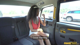 Fake Taxi - Tina Fire a nagy cicis barna spiné